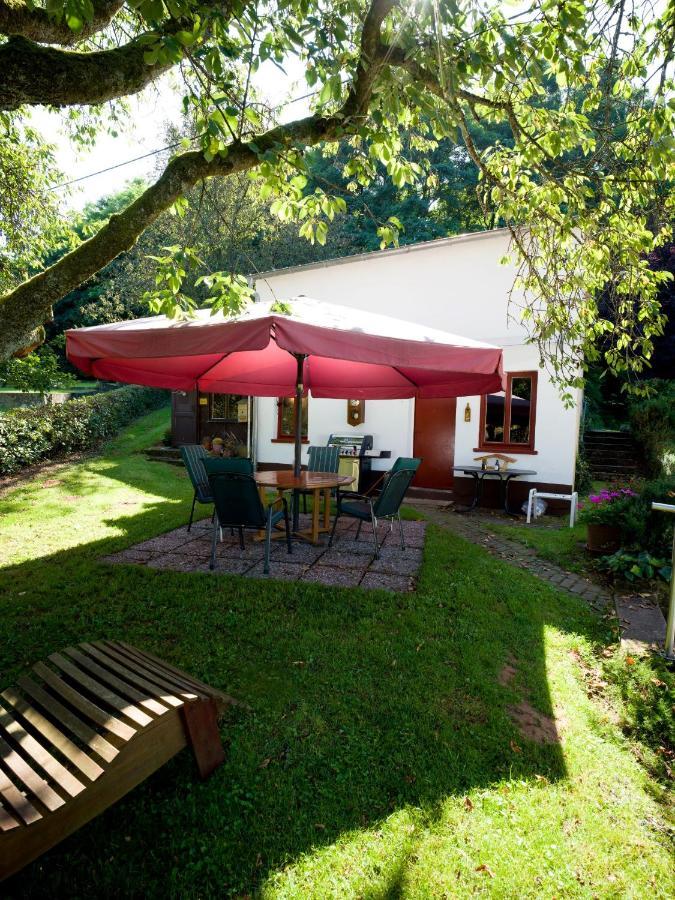 Ferienwohnung Zum Deichgrafen Лосхайм Экстерьер фото